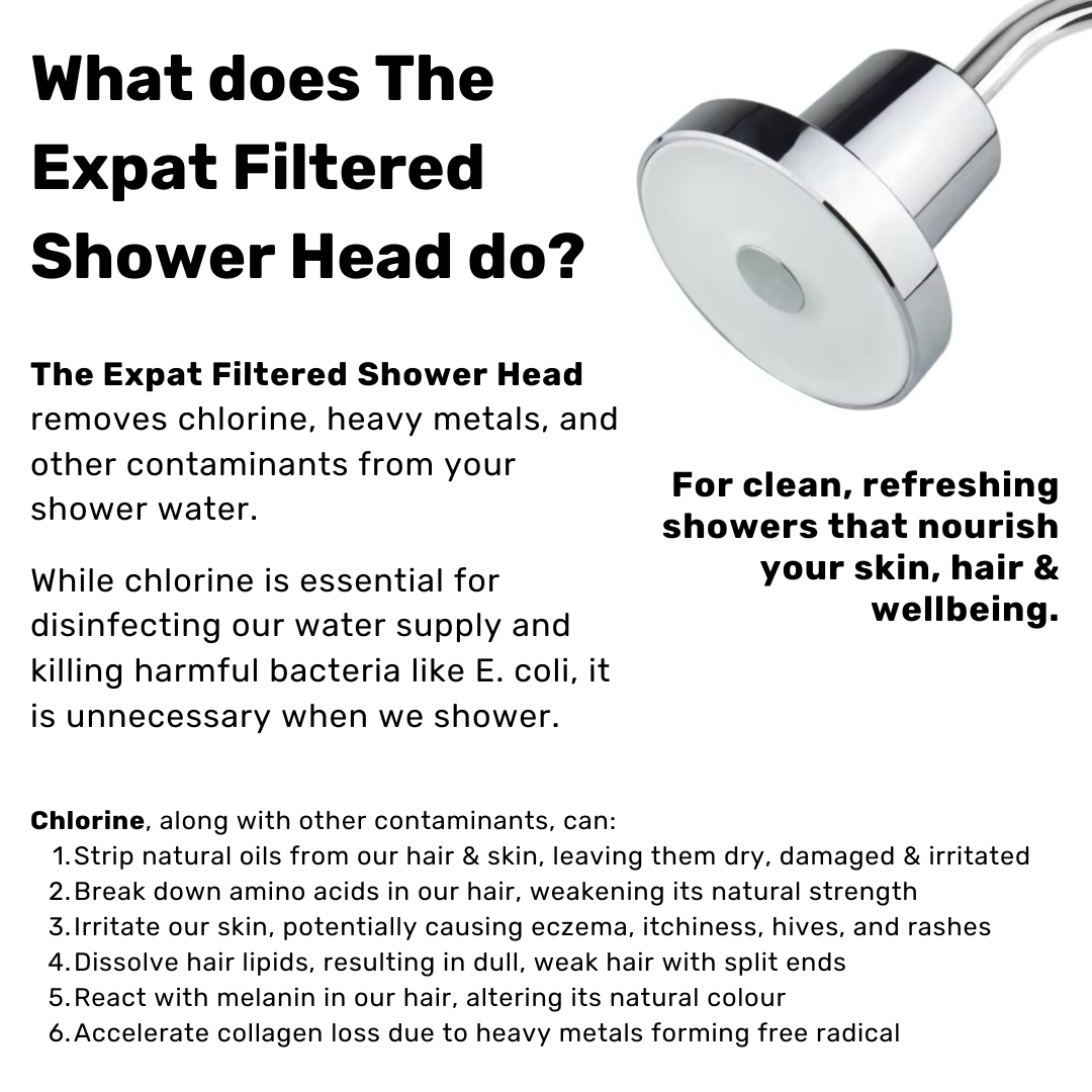 The Expat Filtered Shower Head