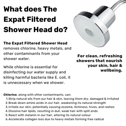 The Expat Filtered Shower Head